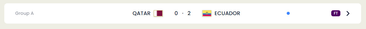 November 26, 2022 FIFA World Cup Matches
